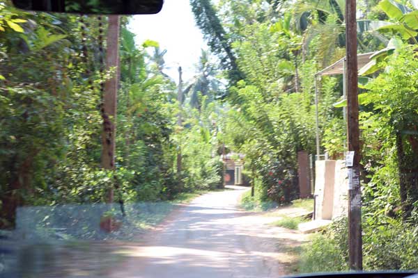 ルヌガンガへの道 road to lunuganga